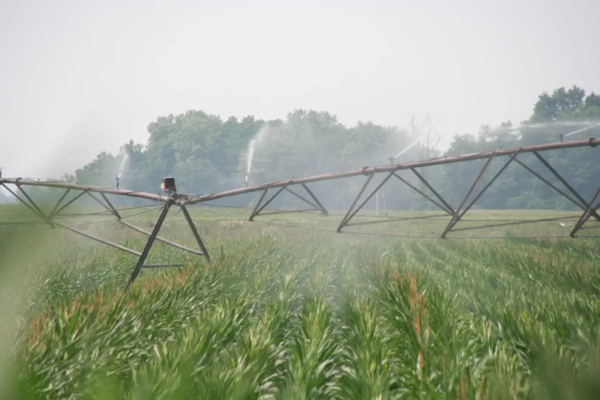 Un impianto per l'irrigazione di campi agricoli | Seeds for Future