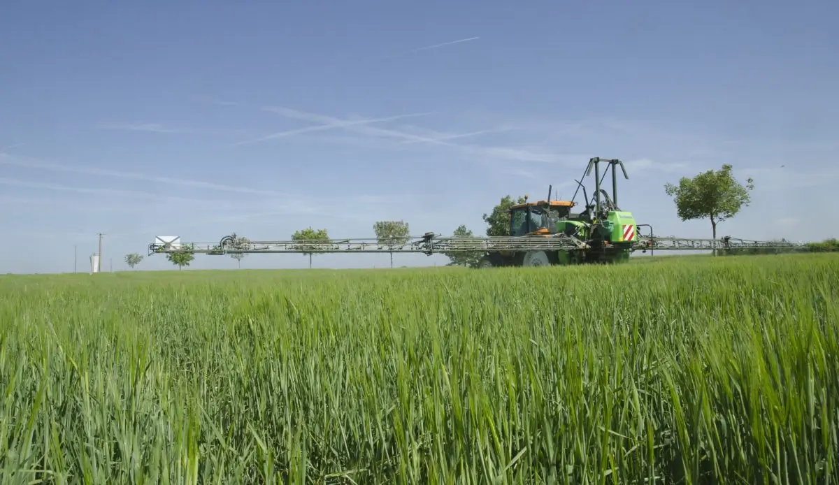 tracteur machine champ maïs | Seeds for Future