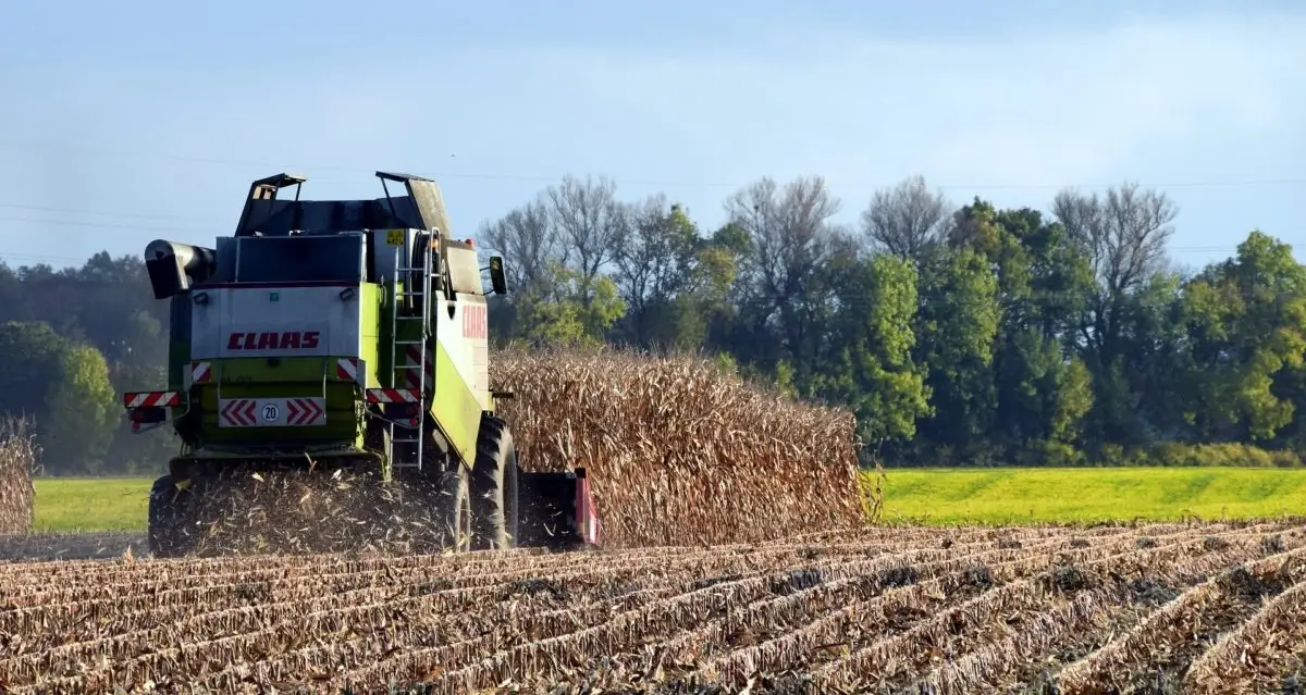 maszyny do zbierania kukurydzy | Seeds for Future